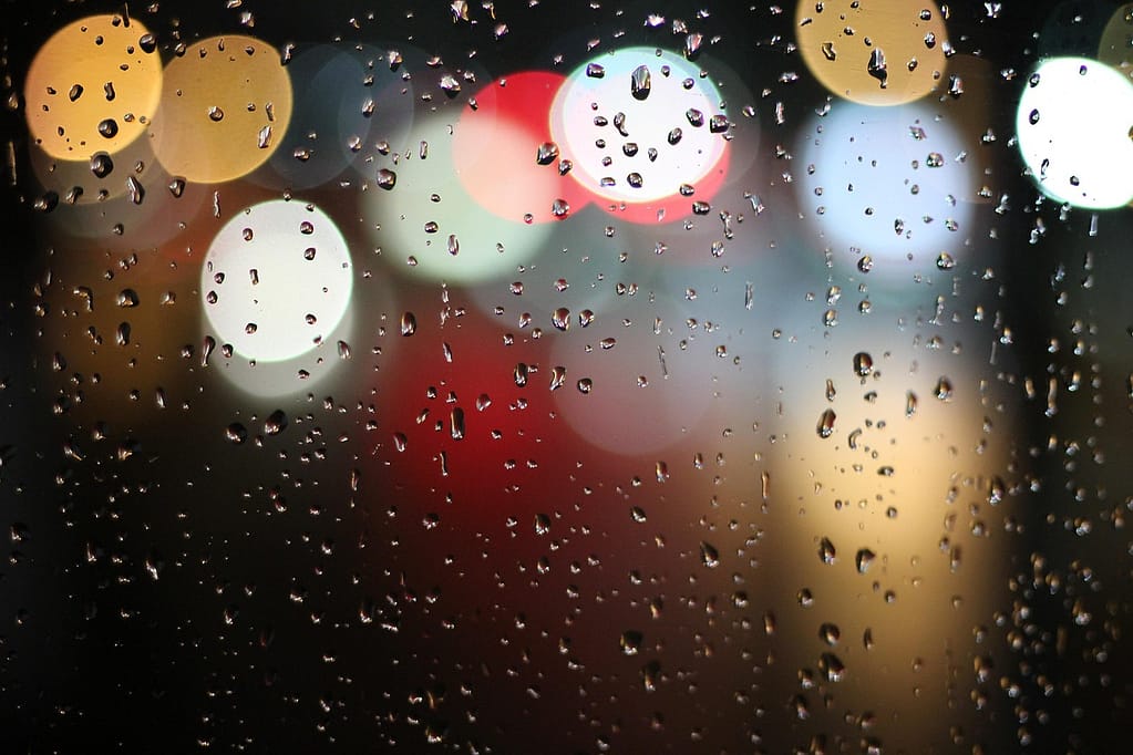 Landscape photography with bokeh demonstrating distance and composition through blurred background and sharp foreground focus.