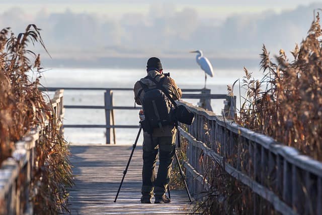Travel photographer on a wooden bridge using a tripod and carrying a camera bag filled with essential travel photography accessories while photographing a bird near a lake.